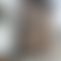 2025/04/08　令和6年石川県能登半島地震及び豪雨災害珠洲市