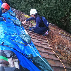 2021/2/21～26　令和3年福島県沖地震活動報告