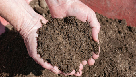 Topsoil: The Foundation for Healthy Lawns and Gardens