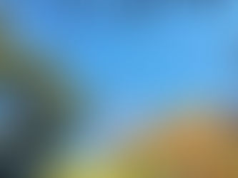 第428回 賢明な胆力 ~ 自分は自分 〜