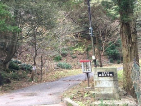 第273回 誰かの役に立っている 〜 印象を与える言葉 〜