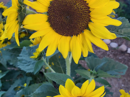 Newsletter #47 | February 2026