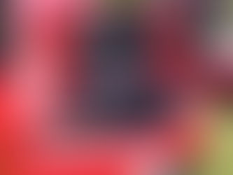 Convivencia de Car Audio en Uruapan; Calidad de Sonido, Open Show y Bajo Callejero.