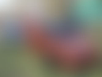 14vo Car Show Ocotlán; hubo competencia de Open Show, SPL y Tuning multimarcas.