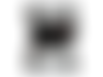 Amplificador Stetsom, un brasileño potente y confiable.