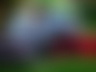 Friends Meet en Tepoztlán, Morelos; se exhibieron buenas instalaciones de Car Audio.