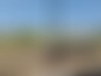悪戦苦闘…