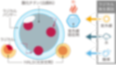 uvceracool_radical.png
