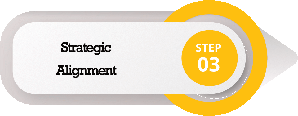 change leadership alignment, change leadership, change leadership alignment step 3: The leadership team should be aligned with the organisation's strategic priorities and their vision for change should be prepared, Peter F Gallagher change management expert speaker global thought leader, effective change manager, change management book, change leadership alignment process,