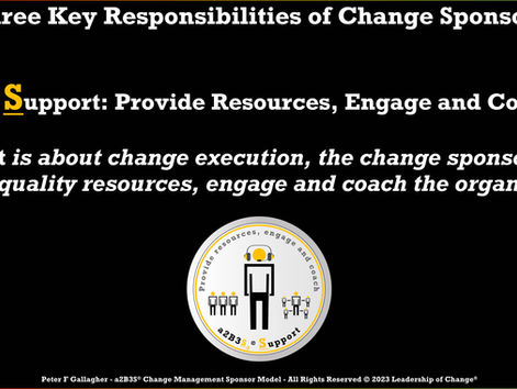 Change Management Sponsorship - Responsibility Two: Support