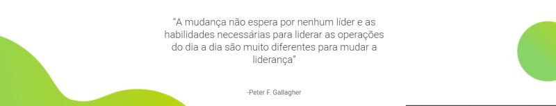 Change Management Quotes, Change Management Quote Peter F Gallagher, Change waits for no leader & the skills required for leading day-to-day operations are very different to change leadership, Peter F Gallagher change management expert speaker global thought leader, change management experts speakers global thought leaders, change management handbook, change management leadership, change management quote of the day,