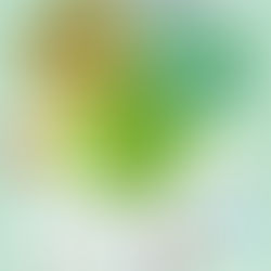 SPSS統計軟件使用課程