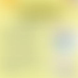 幼兒啟蒙及少兒瑜伽班