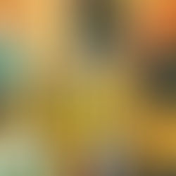 "哈佬喂"糖霜曲奇班