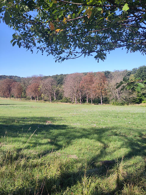 Selbsterfahrung beim Wandern.jpg