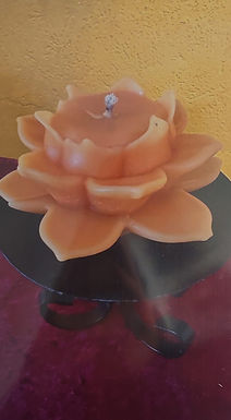 Seerose