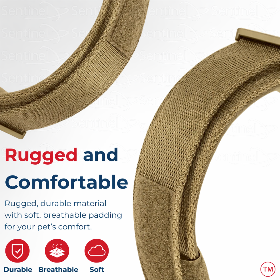 Thumbnail: Premium 2-in-1 BLE Dog Tracker & Collar │ Large Dog Breed