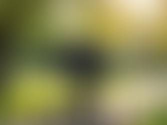 Top Tips for a Successful Photoshoot