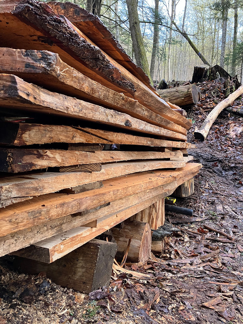 Wood Slabs