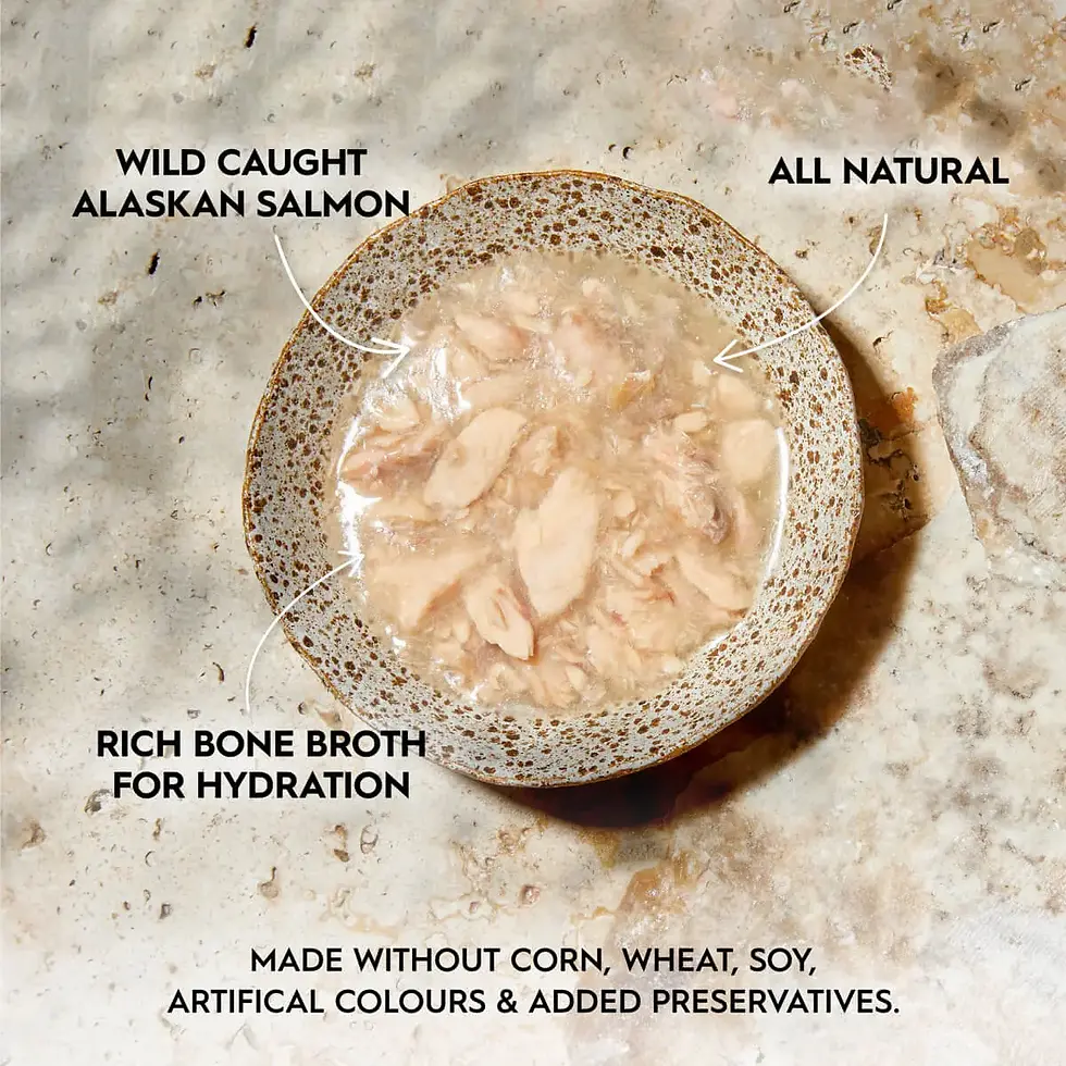 Thumbnail: Trilogy Adult Wild Alaskan Salmon in Bone Broth Wet Cat Food