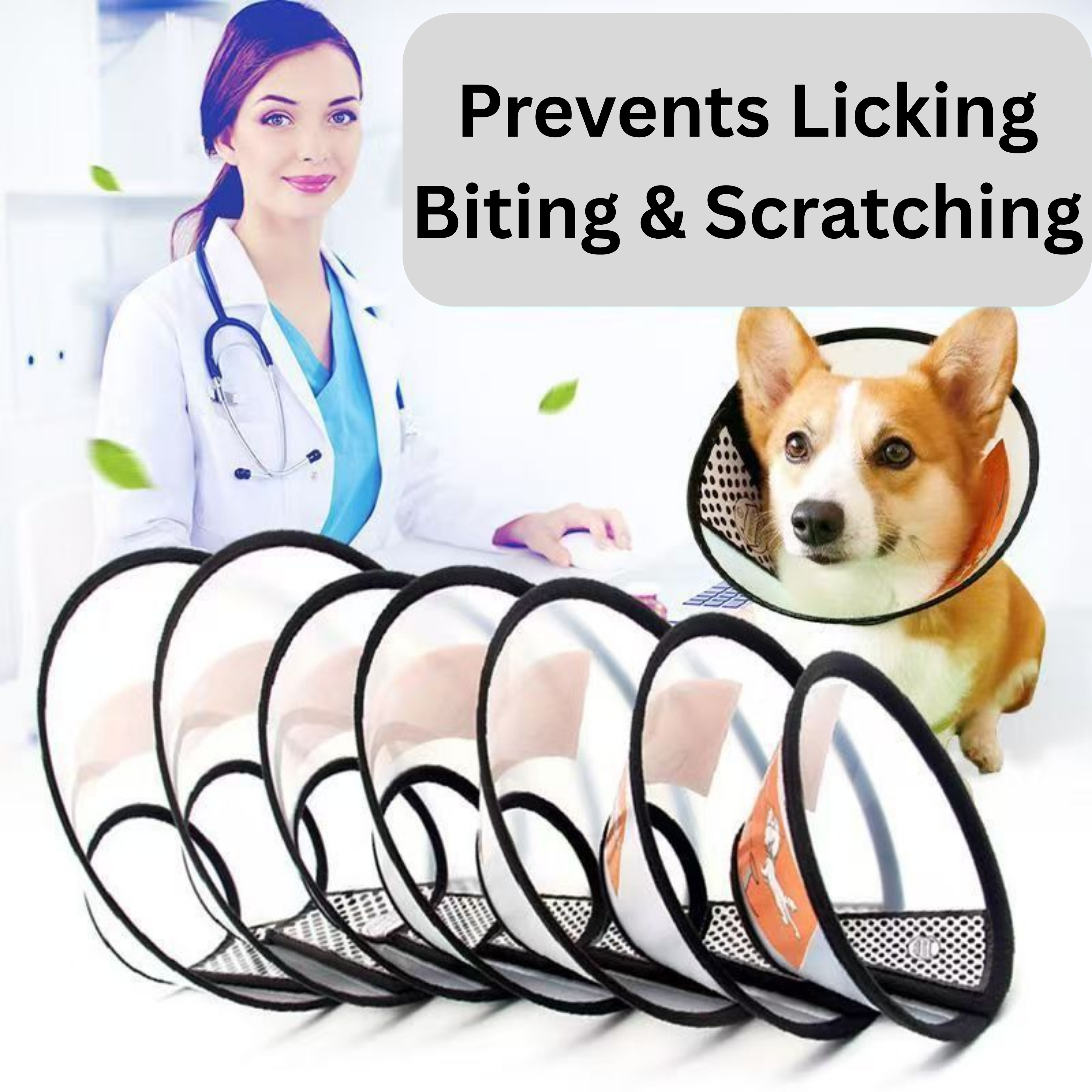 Pet Recovery Elizabethan Collar