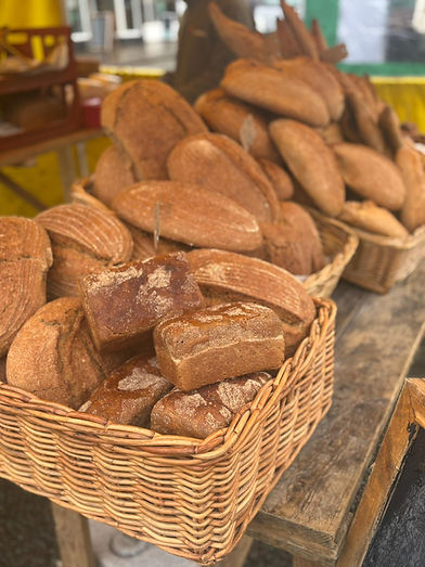 WhatsApp Image 2026-02-19 at 09.54.07 (2).jpeg