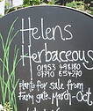 Helens Herbacious.jpg