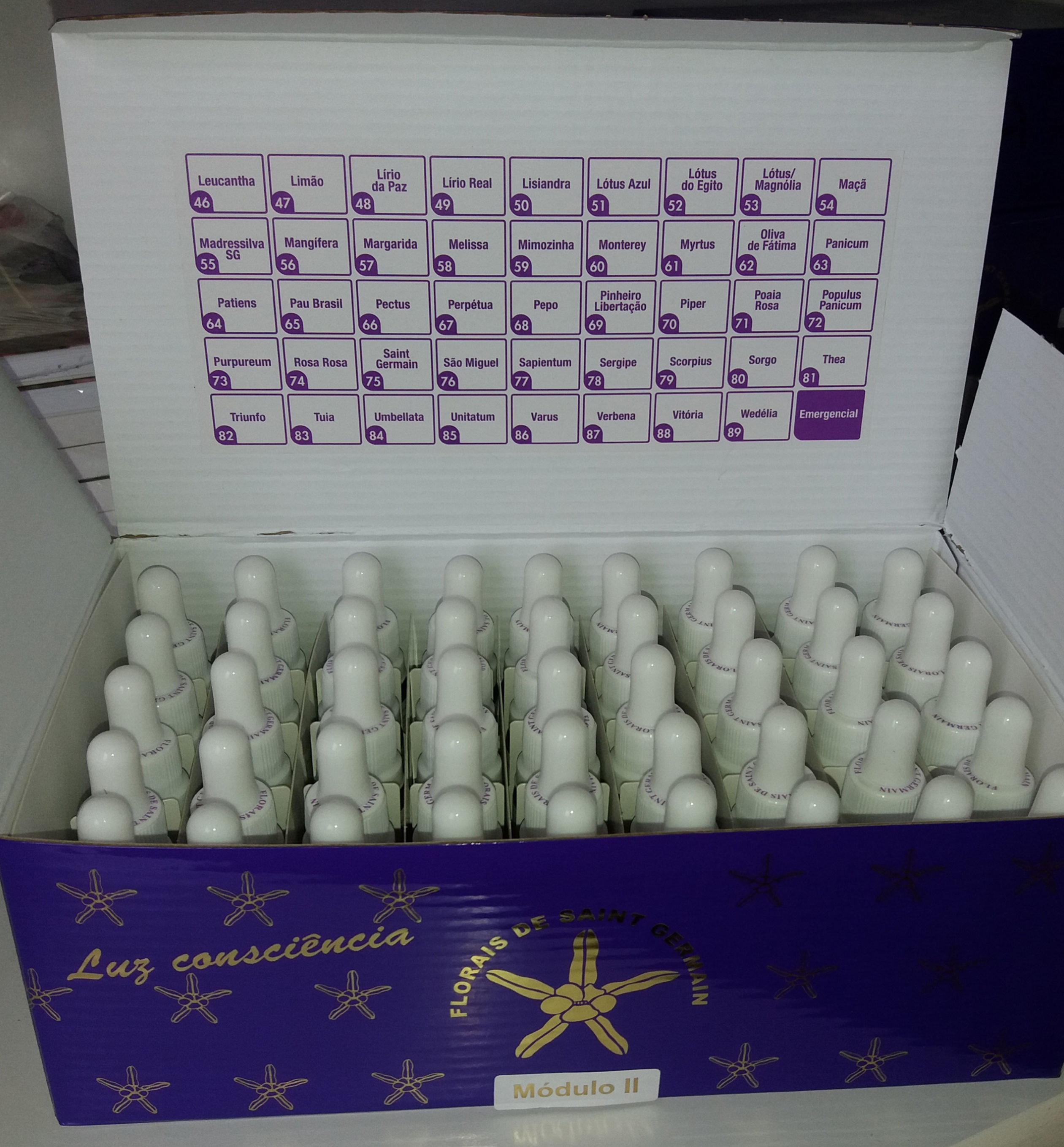 Kit 2 - caixa com 44 essências  + 1 formula