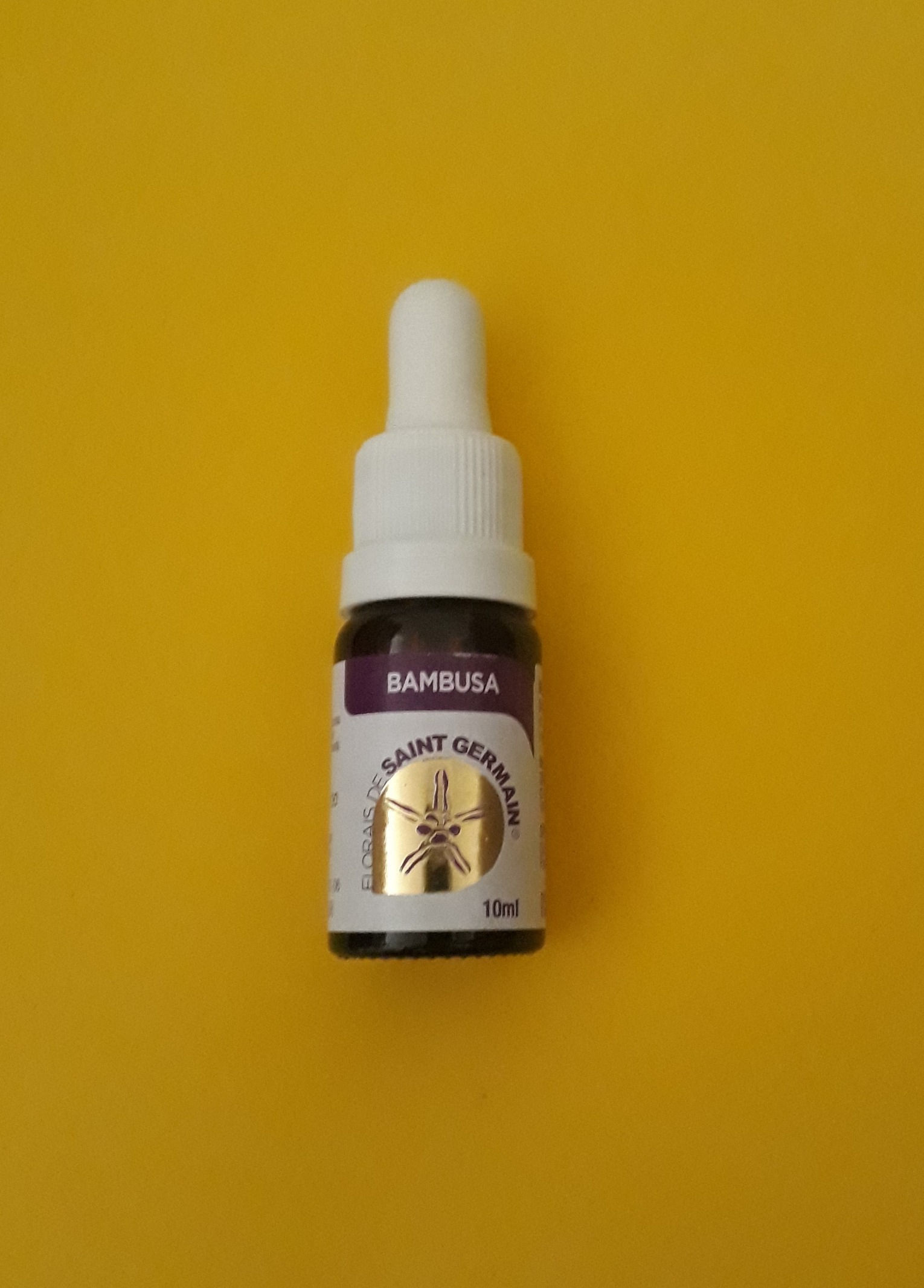 Floral Bambusa - para cumprir obrigações e caminhos