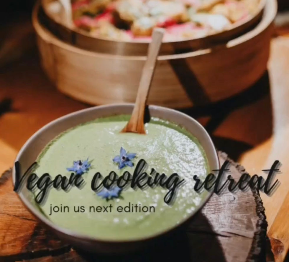 Vegan Cooking Retreat