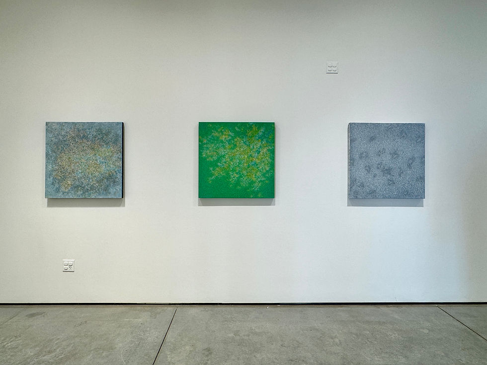 Installation view at Harold J Miossi Art Gallery