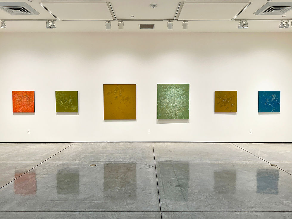 Installation view at Harold J Miossi Art Gallery