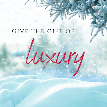 Copy of Give the Gift of (5).png