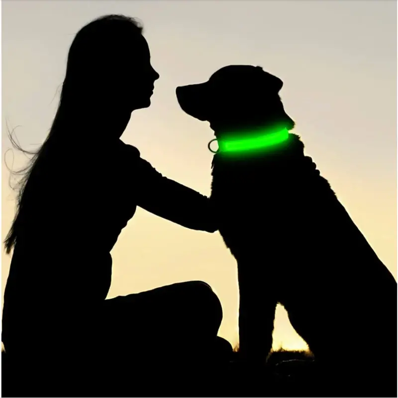 Thumbnail: BrightGuard-3 Modes Dog Luminous Charge Collar Led Usb Cat Dogs Collars Detachab