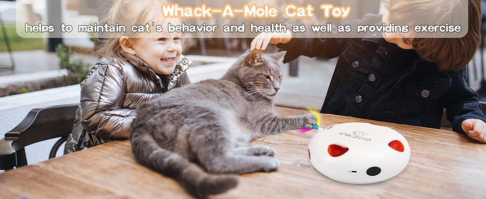 Thumbnail: INKZOO Cat Toys, Interactive Cat Toys for Indoor Cats,  Smart Interactive Kitten