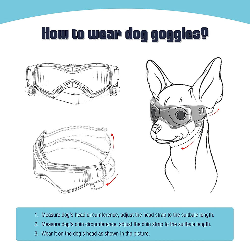 Thumbnail: Pet Accessories Dog Outdoor UV Protection Sunglasses Cat Dog Goggles for Small M