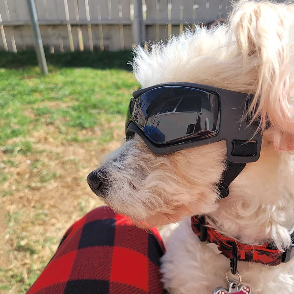 Thumbnail: Pet Accessories Dog Outdoor UV Protection Sunglasses Cat Dog Goggles for Small M