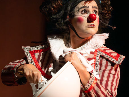 Festival internacional de circo do SESC agita São Paulo com apresentações emocionantes