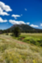 background 5.jpg