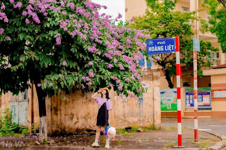 mua-hoa-bang-lang-ha-noi