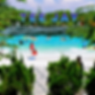 IMG_9988 A.png