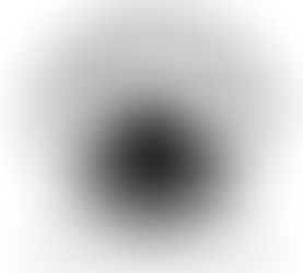 2025 Eurasian Otter Workshop