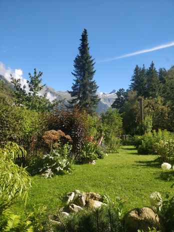 Bergpanorama mit Garten: grüne Wiese, Nadelbäume