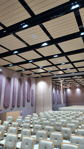 AUDITORIUMS