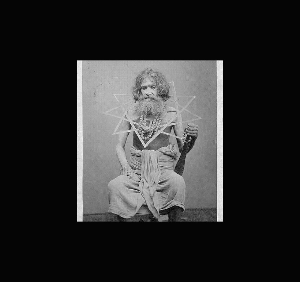 Thumbnail: Part animal, part star: single-colour screen-print
