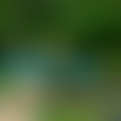 Read this to prep for an Arugam Bay adventure with your people