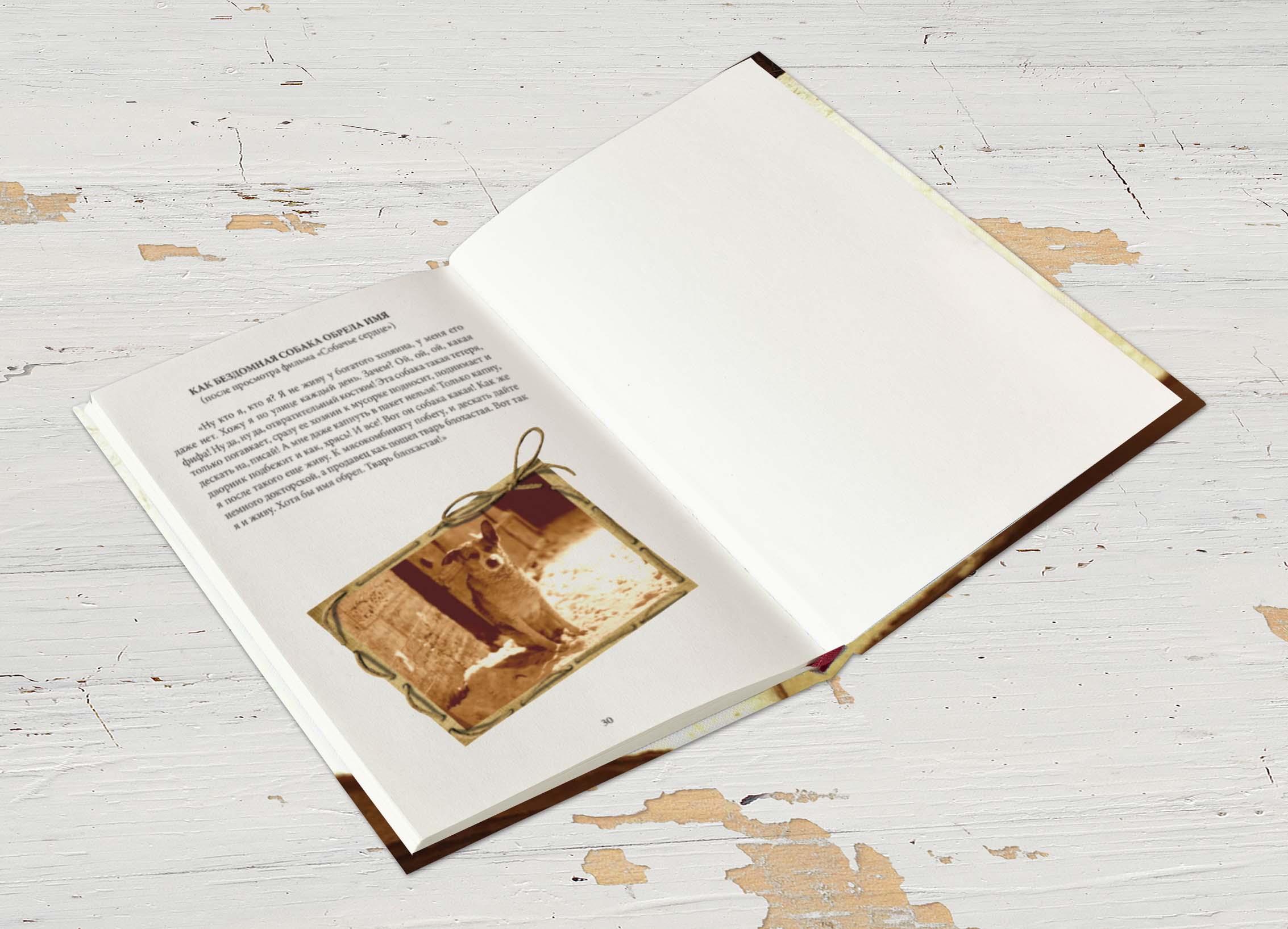 Верстка разворота книги