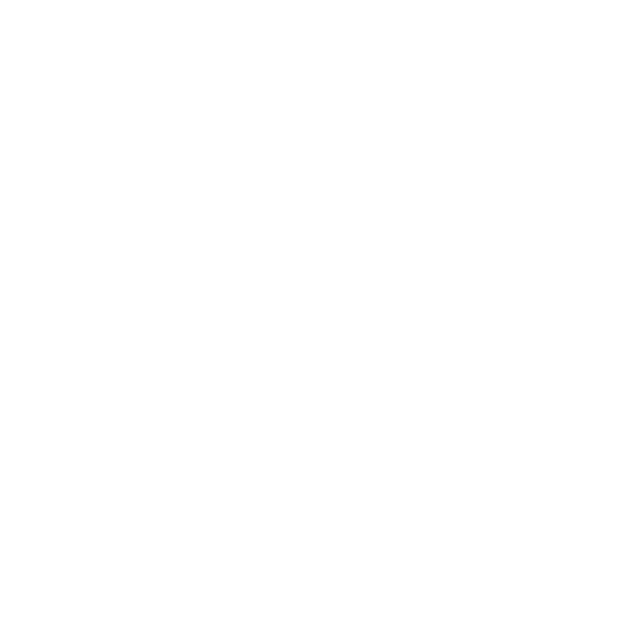 ALT logo white.png