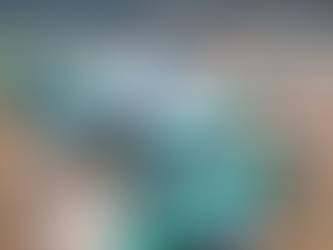 Navigating the Korean Air Name Correction Policy for Smooth Travel
