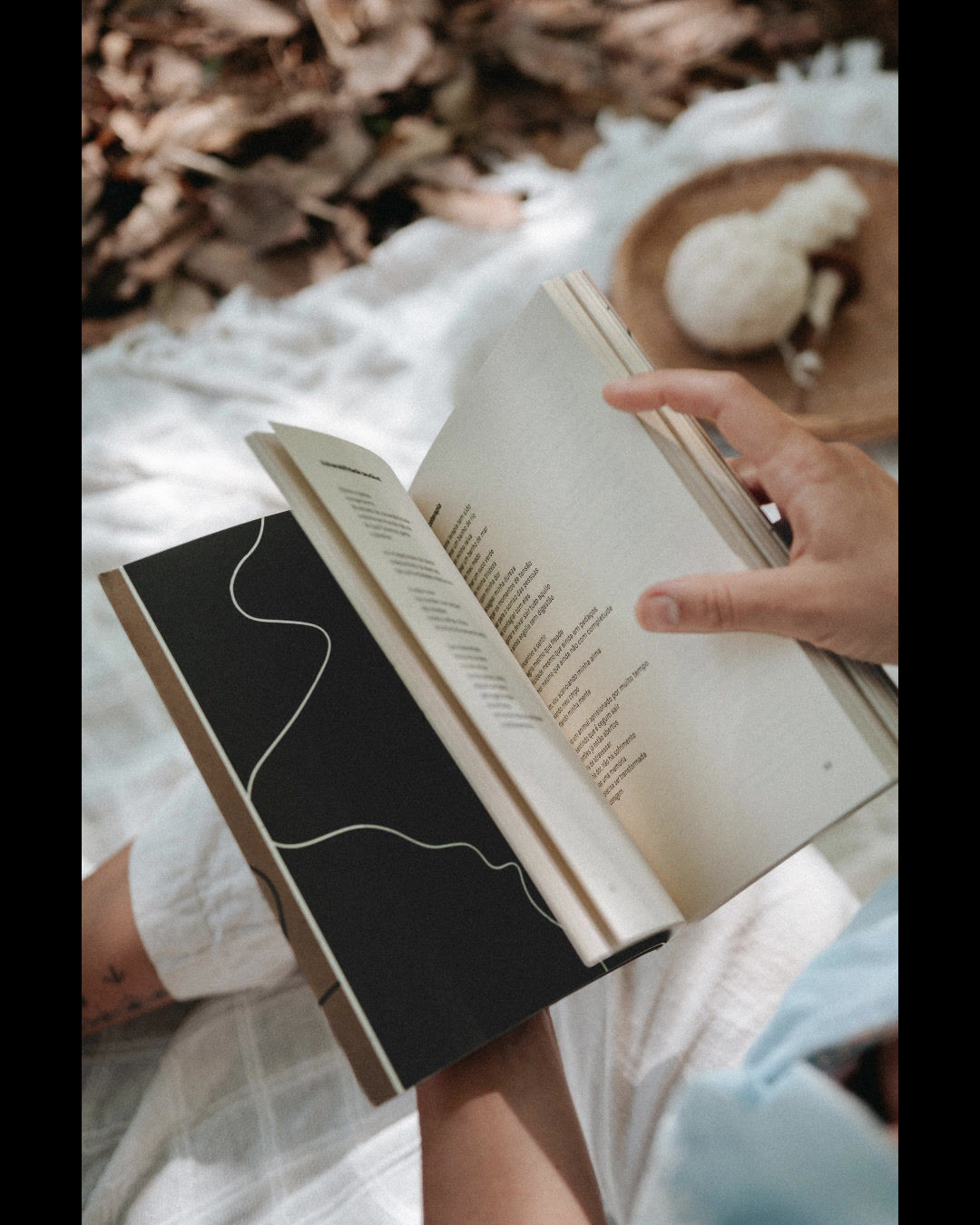 Livro de Poesia de Véro Monteiro